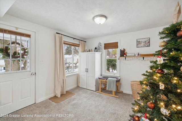 entryway featuring light colored carpet and a textured ceiling