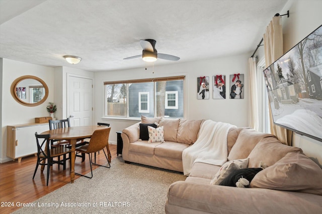 living room with ceiling fan, light wood-type flooring, and a textured ceiling