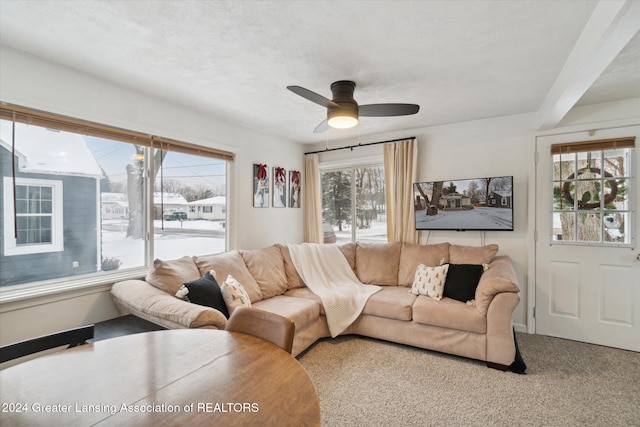 carpeted living room featuring ceiling fan and a textured ceiling