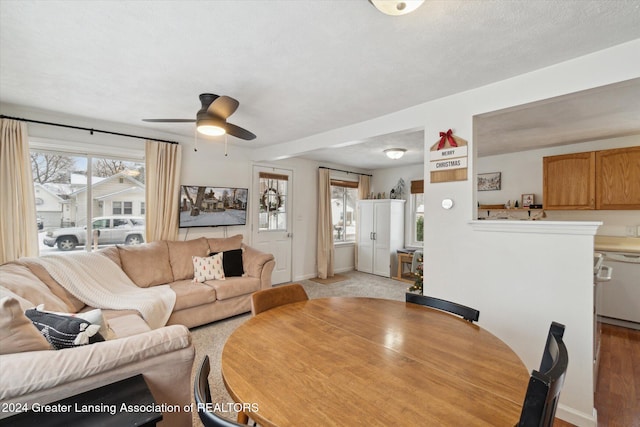 living room featuring a textured ceiling, light colored carpet, and ceiling fan