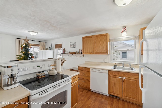 kitchen featuring a textured ceiling, sink, white appliances, and light wood-type flooring