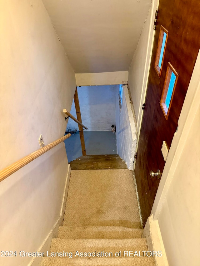 staircase featuring carpet floors