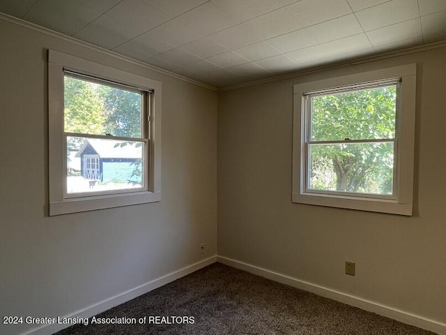 carpeted spare room with plenty of natural light and ornamental molding