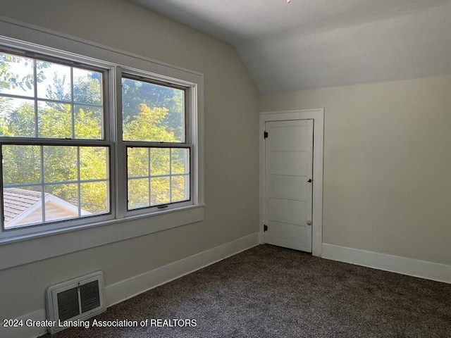 bonus room featuring carpet flooring and lofted ceiling