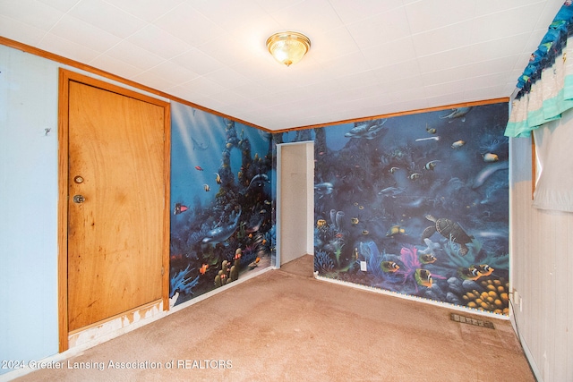 carpeted spare room featuring ornamental molding