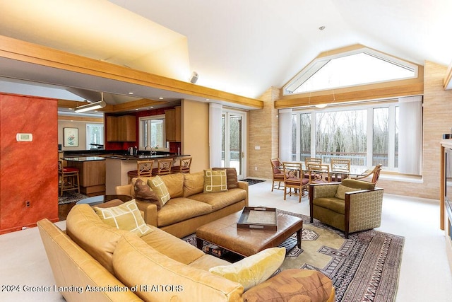 living room with carpet floors, high vaulted ceiling, and sink