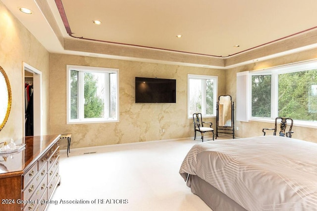 bedroom with carpet flooring and multiple windows