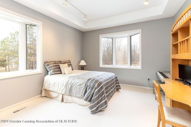 carpeted bedroom featuring track lighting and a raised ceiling