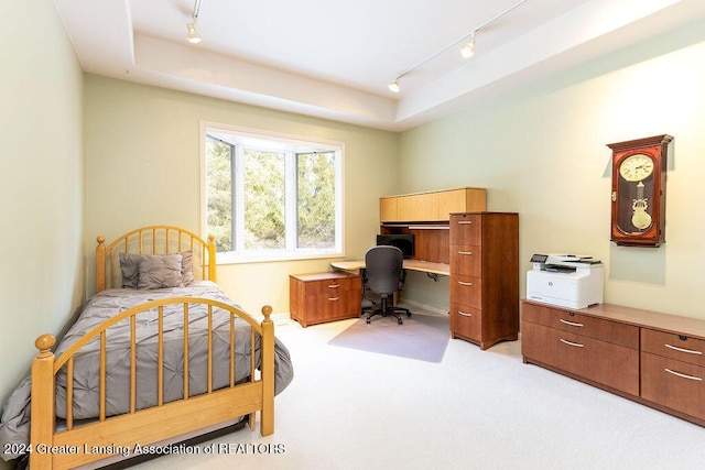 bedroom featuring rail lighting, light colored carpet, and a raised ceiling