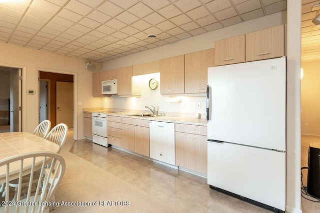 kitchen with sink, a drop ceiling, white appliances, and light brown cabinets