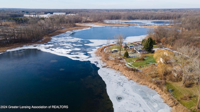 bird's eye view with a water view