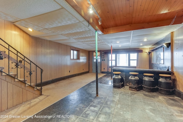 basement featuring wood walls