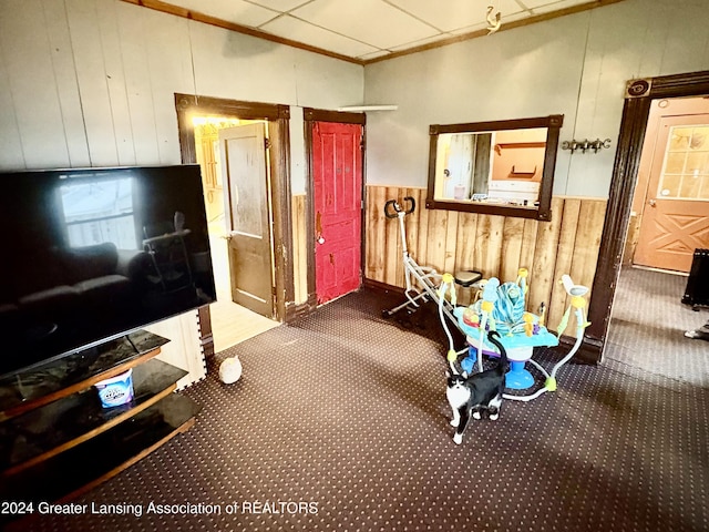 misc room featuring carpet flooring and wooden walls