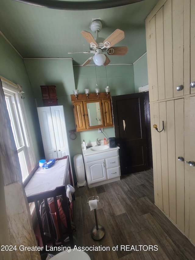 kitchen featuring sink and dark wood-type flooring