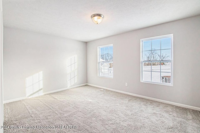 spare room featuring carpet