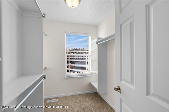 spacious closet featuring light carpet