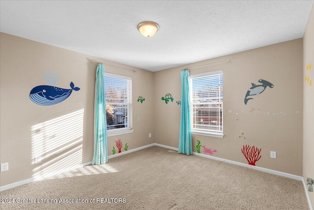 carpeted empty room with a textured ceiling and a healthy amount of sunlight