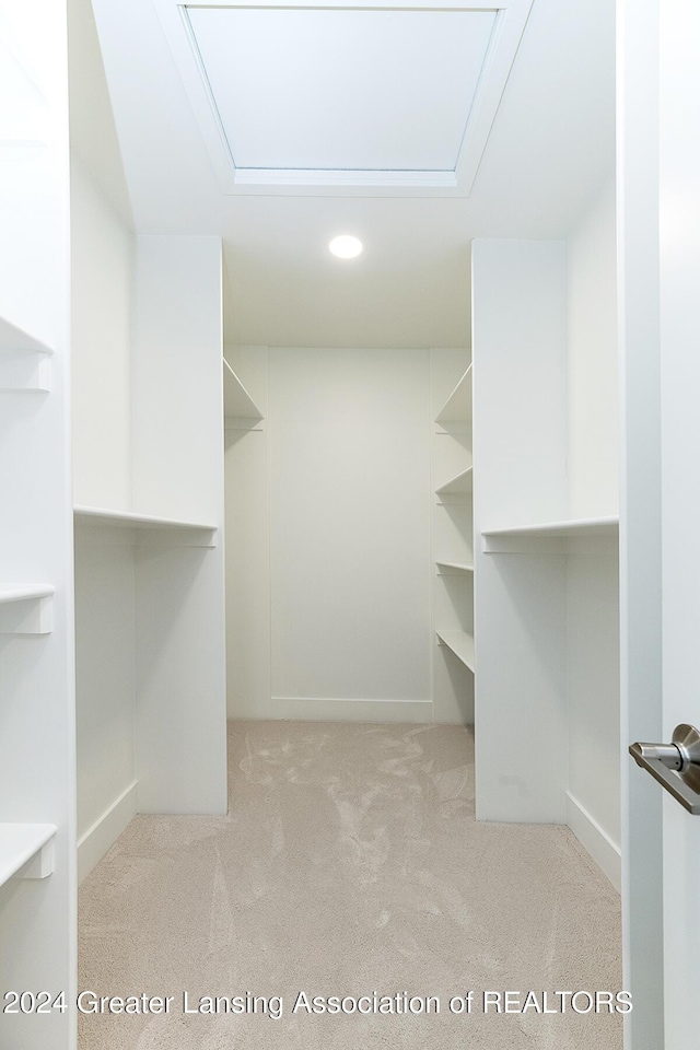 spacious closet with light colored carpet