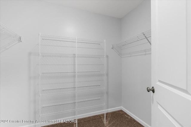 walk in closet featuring carpet floors