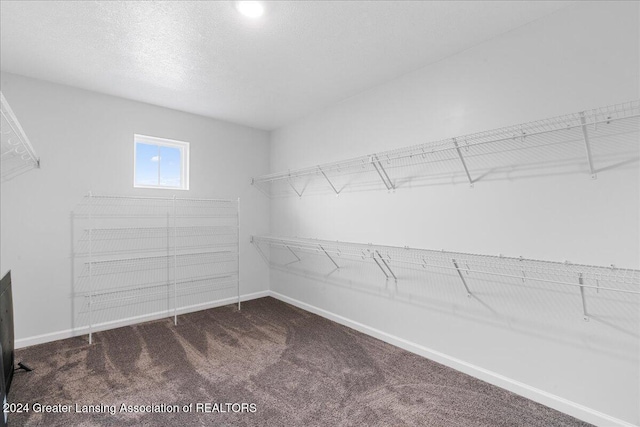 walk in closet featuring dark colored carpet