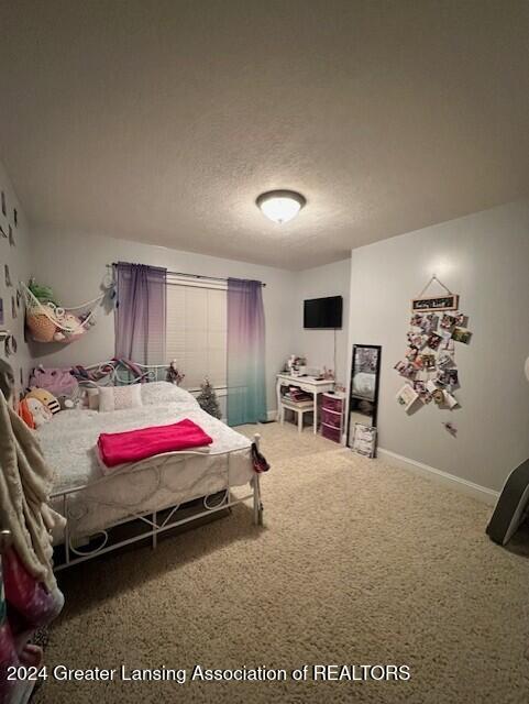 bedroom with carpet floors