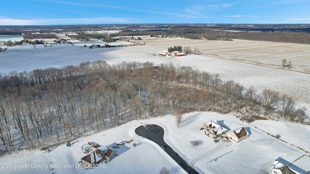 view of snowy aerial view