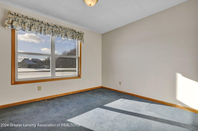 unfurnished room with carpet flooring and a textured ceiling