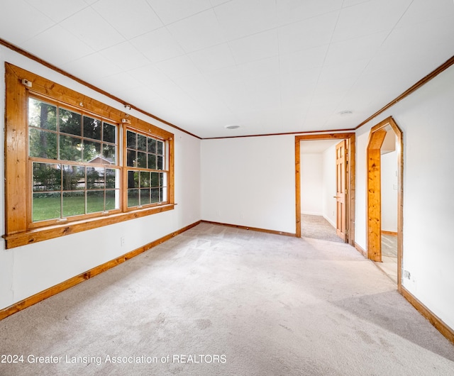 spare room featuring ornamental molding and light carpet