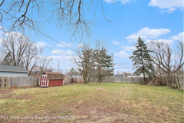 view of yard with a storage unit