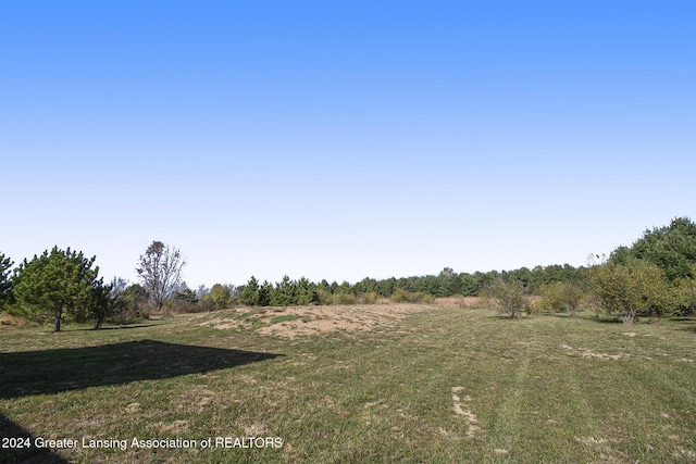 view of yard featuring a rural view