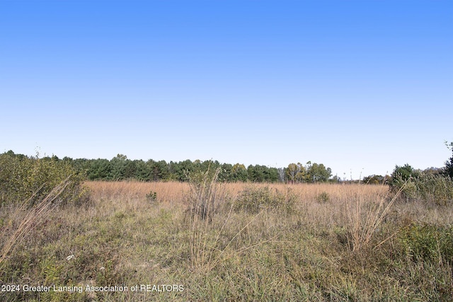 view of local wilderness featuring a rural view