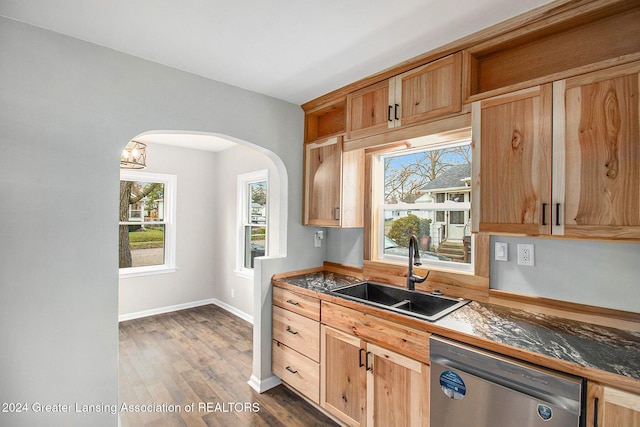 kitchen featuring dark hardwood / wood-style flooring, sink, and stainless steel dishwasher