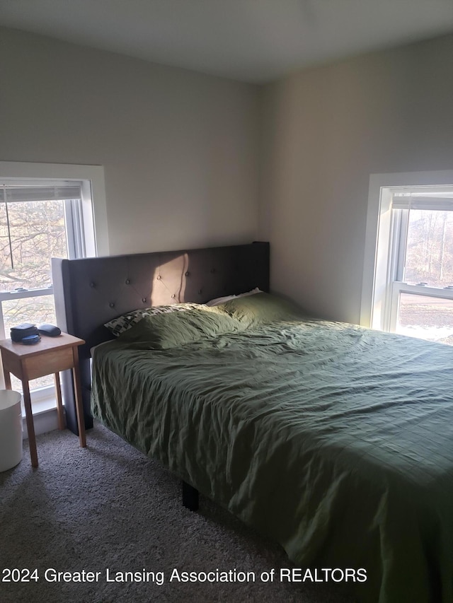 view of carpeted bedroom