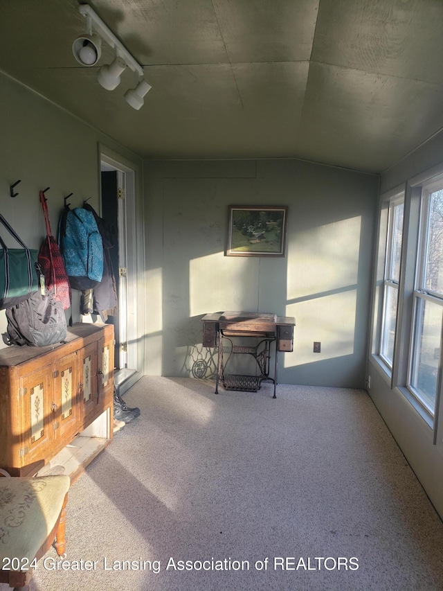 sunroom with rail lighting and vaulted ceiling