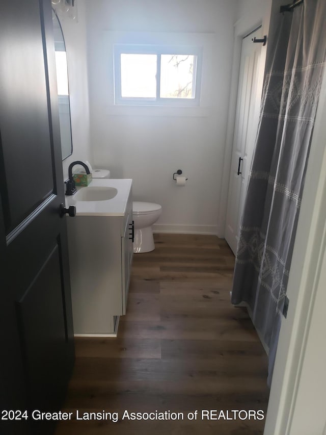 bathroom featuring vanity, hardwood / wood-style flooring, and toilet