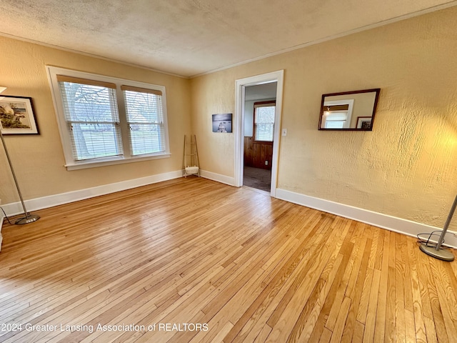 empty room featuring plenty of natural light and light hardwood / wood-style floors