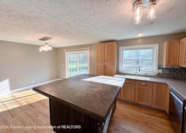 kitchen featuring a healthy amount of sunlight, light hardwood / wood-style flooring, pendant lighting, and stainless steel dishwasher