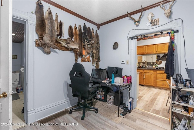 home office with a textured ceiling, light hardwood / wood-style floors, ornamental molding, and sink