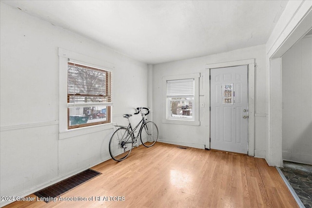 foyer entrance featuring wood-type flooring