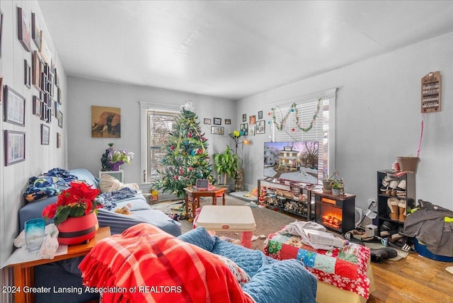 living room with hardwood / wood-style floors and plenty of natural light