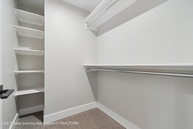 spacious closet featuring carpet floors