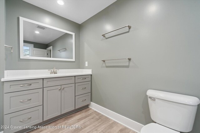 bathroom featuring vanity, wood-type flooring, and toilet