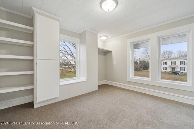 spacious closet featuring carpet floors