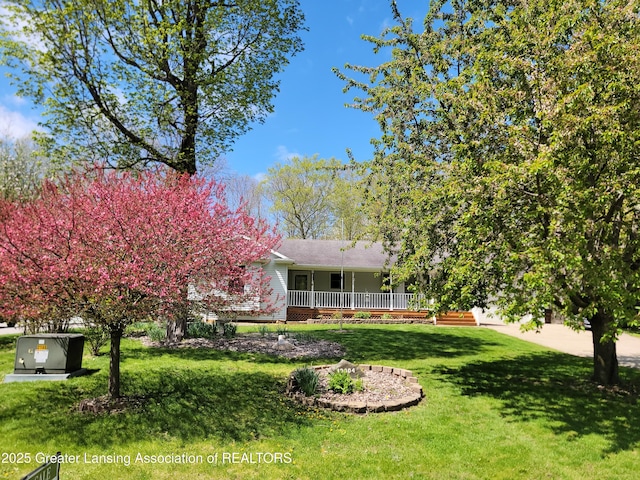 10004 Lakeside Dr, Perrinton, MI 48871 - view of green lawn