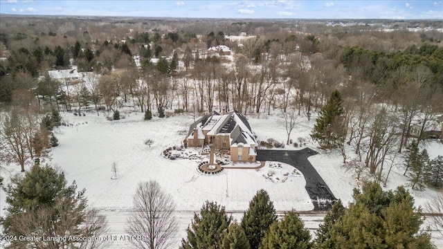 view of snowy aerial view