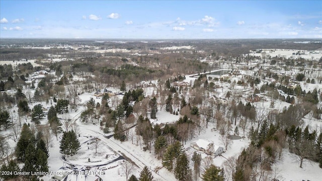 view of snowy aerial view