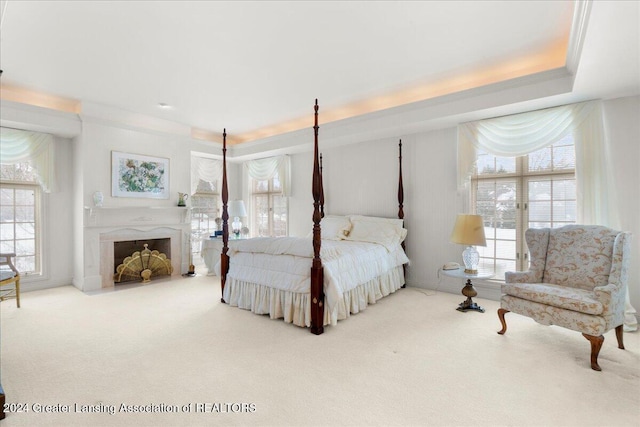 carpeted bedroom with a raised ceiling