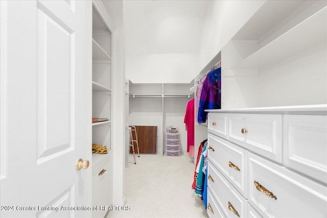 walk in closet with light colored carpet