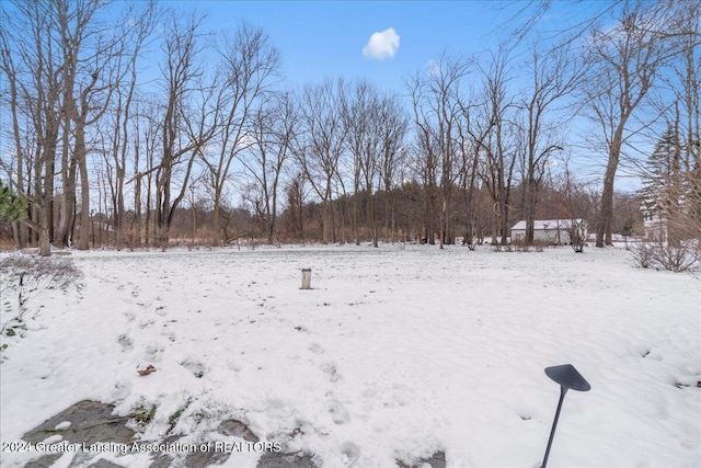 view of snowy yard