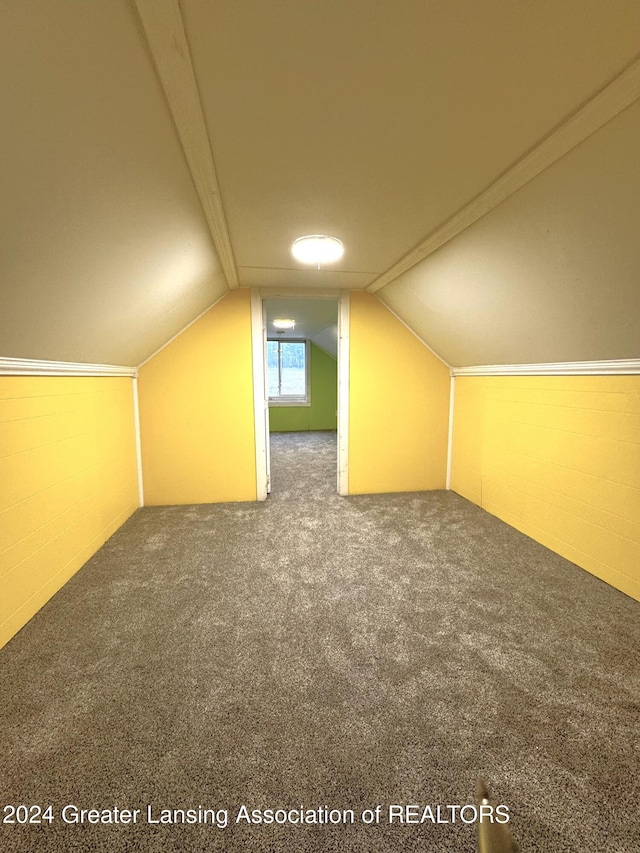 additional living space with carpet floors and vaulted ceiling